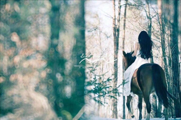 qsart-black-horse-rider